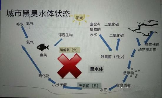 江蘇億元投資治污新技術(shù) 石墨烯能否治理黑臭水體？