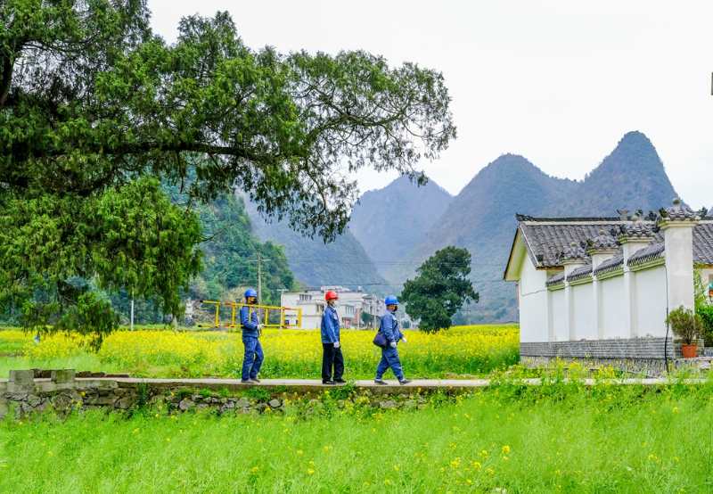 平塘供電局：“網(wǎng)格化”服務(wù)，護(hù)航“菜籃子”