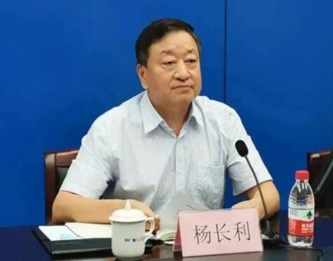 任職總經(jīng)理半年后，楊長利任中廣核董事長