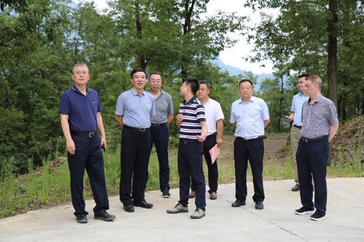 中國能建總經(jīng)理、黨委副書記孫洪水一行赴陜西鎮(zhèn)巴縣調(diào)研定點扶貧工作