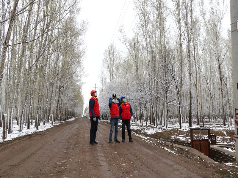 國(guó)網(wǎng)伊犁伊河供電公司四月飛雪，電力員工巡視線路保供電