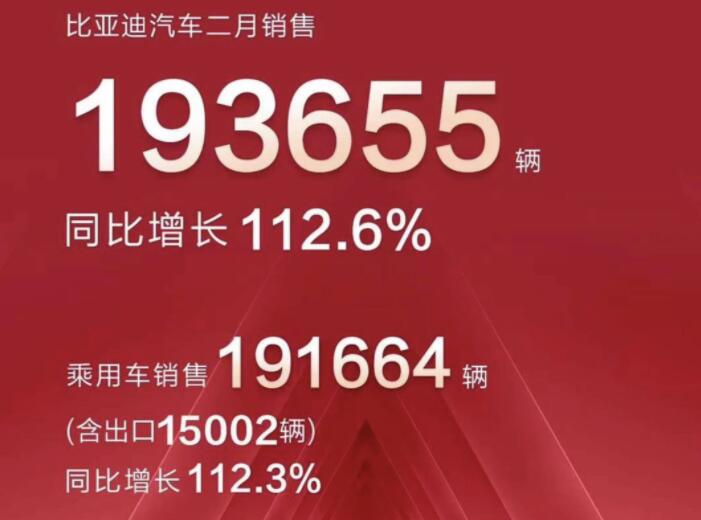 2月新能源車企成績單出爐，比亞迪一騎絕塵