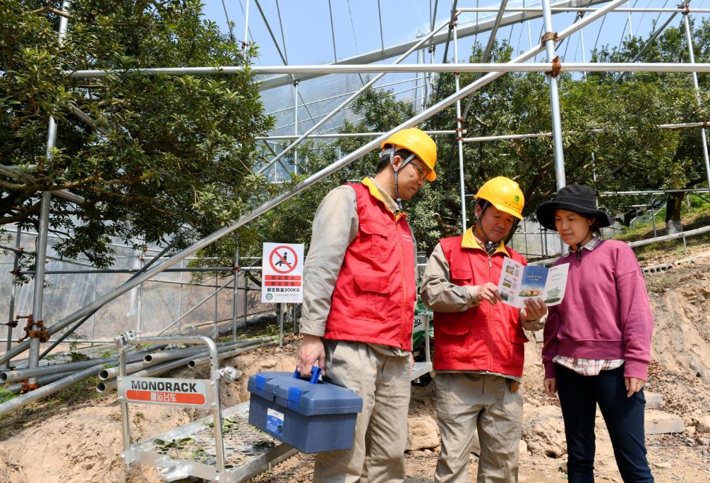 國網余姚市供電公司：電力賦能產業(yè)興 鄉(xiāng)村振興動力足