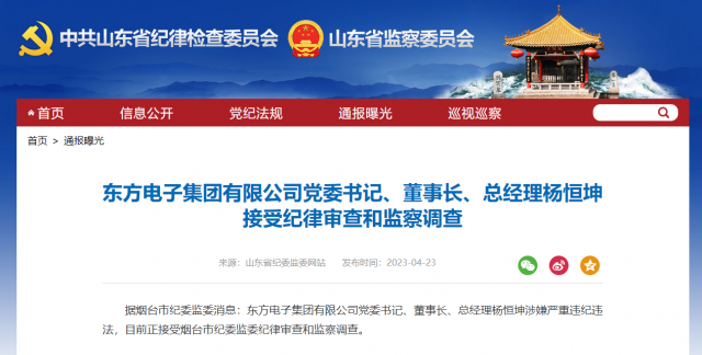 東方電子集團(tuán)有限公司黨委書記、董事長(zhǎng)、總經(jīng)理?xiàng)詈憷け徊椋? width=