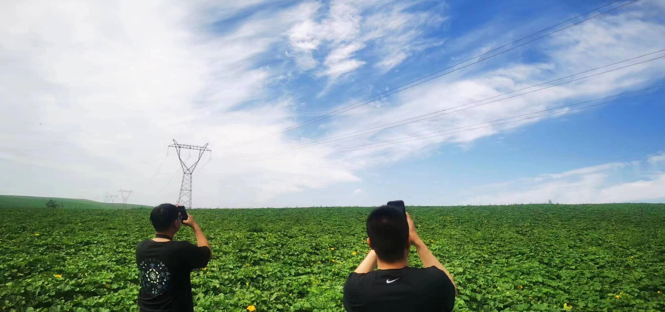 四子王輸變電管理處：防外力破壞，助安全運行