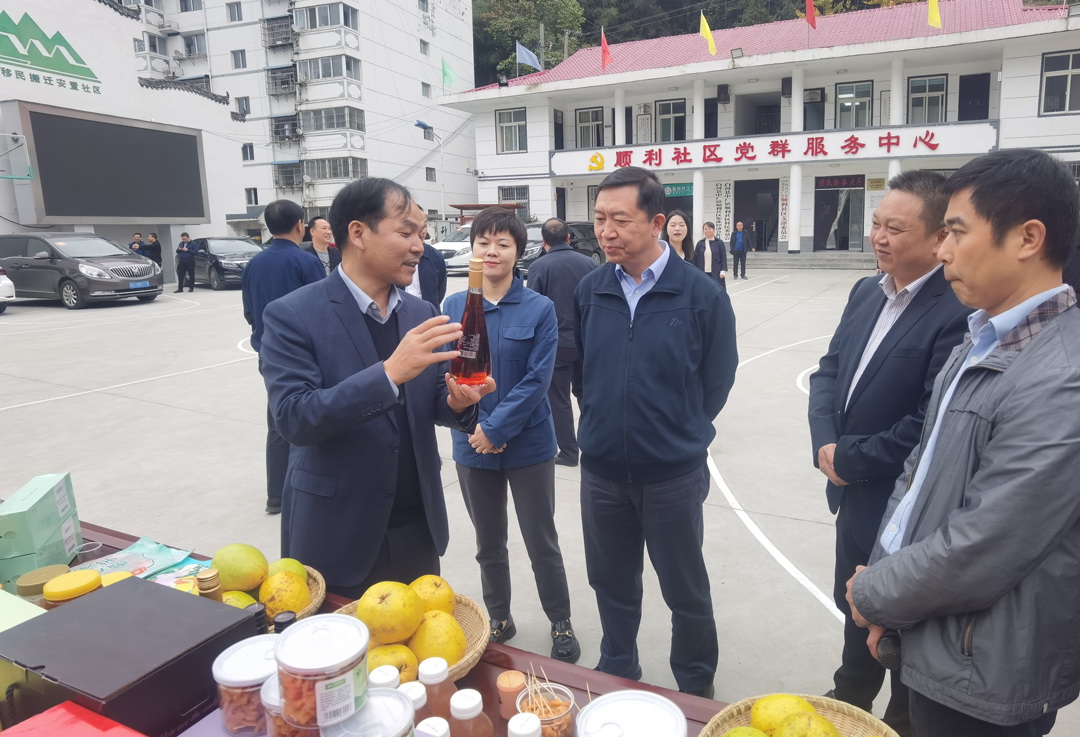中核集團(tuán)總經(jīng)理、黨組副書記顧軍赴陜西白河、旬陽(yáng)調(diào)研鄉(xiāng)村振興工作