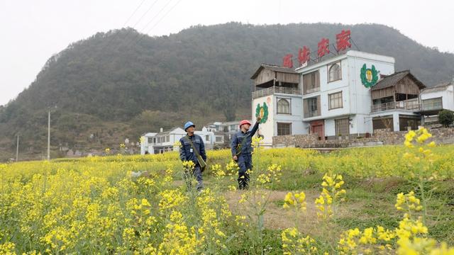 貴州貞豐供電局優(yōu)質服務助力智慧農(nóng)業(yè)春耕備耕