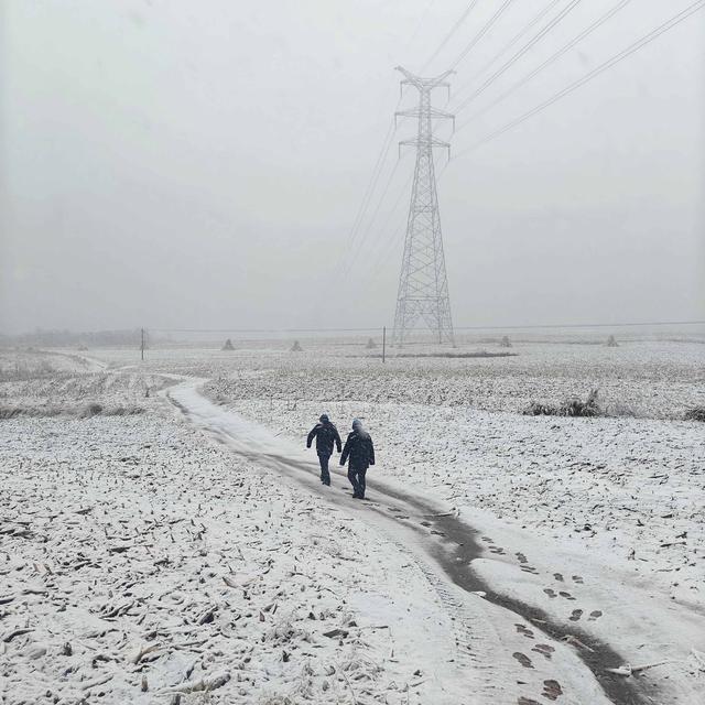 國網(wǎng)遼寧電力全力應對遼寧首輪雨雪天氣